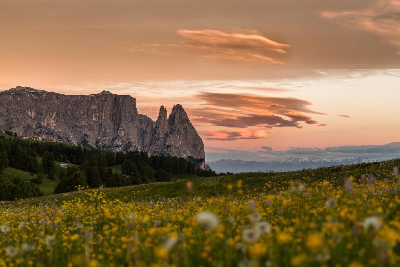 Hotel Goldknopf Alpe Di Siusi Exterior photo